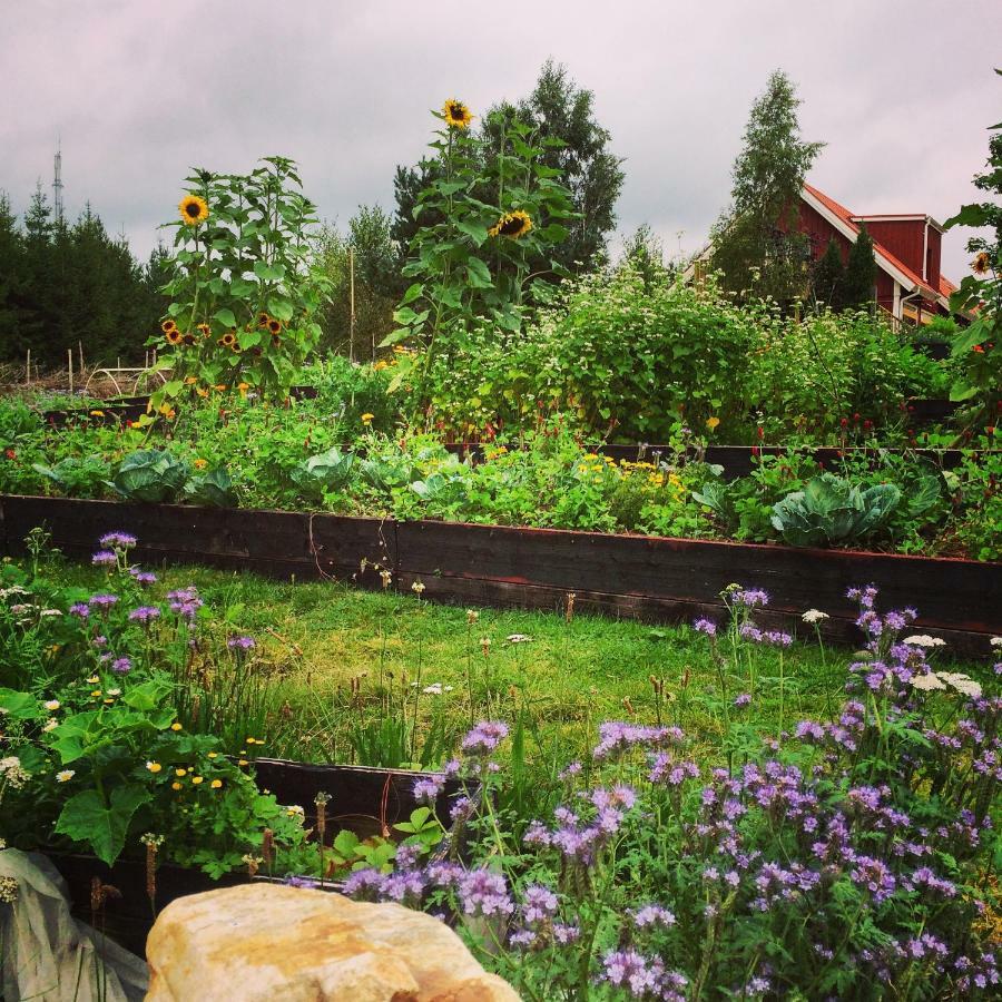 Escape To Paulssonpaleo Bed & Breakfast Simlångsdalen Eksteriør bilde