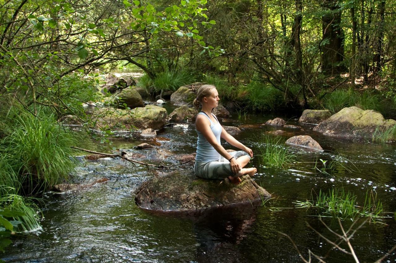 Escape To Paulssonpaleo Bed & Breakfast Simlångsdalen Eksteriør bilde