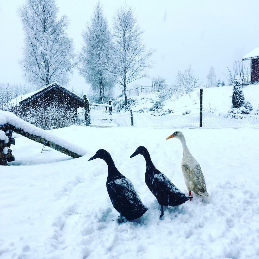 Escape To Paulssonpaleo Bed & Breakfast Simlångsdalen Eksteriør bilde
