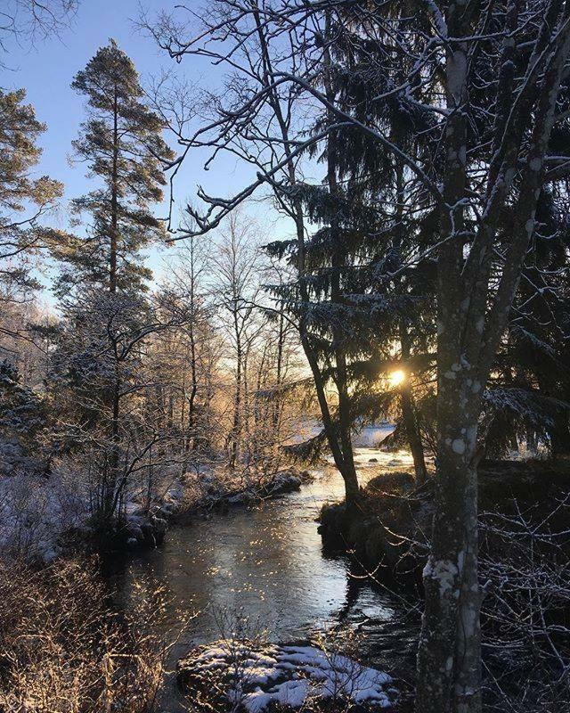Escape To Paulssonpaleo Bed & Breakfast Simlångsdalen Eksteriør bilde