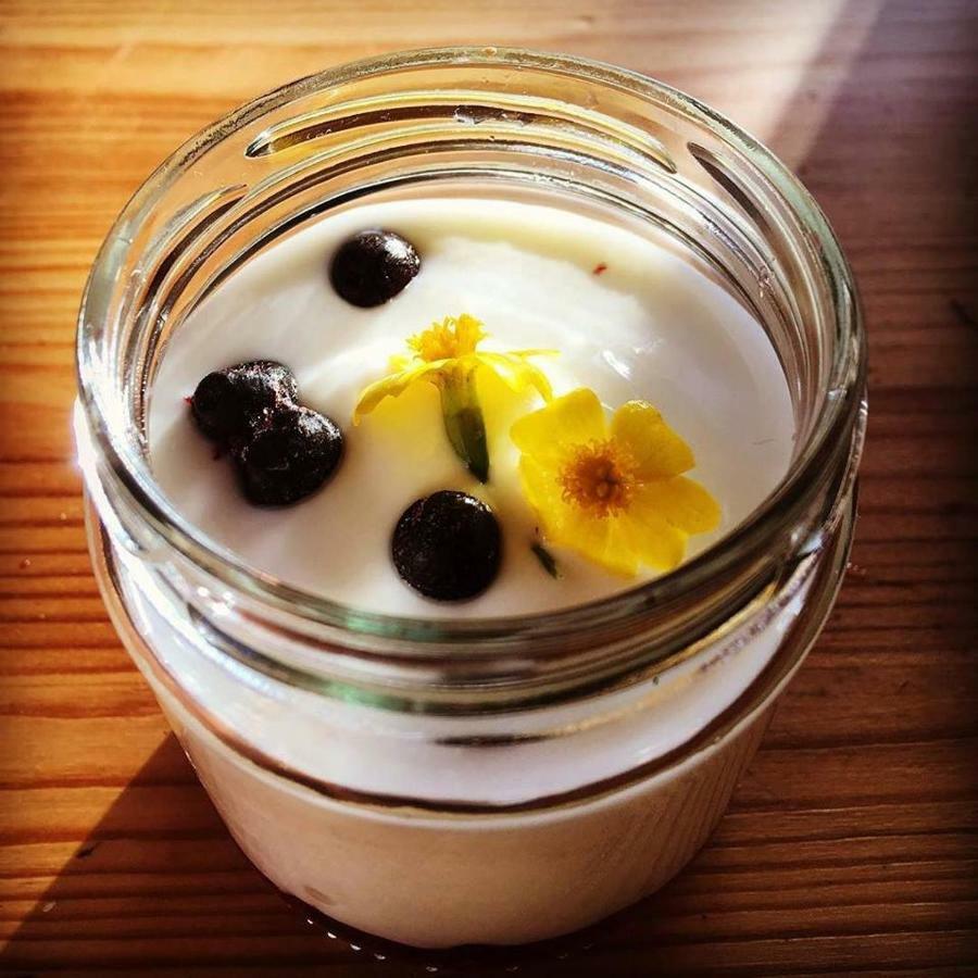 Escape To Paulssonpaleo Bed & Breakfast Simlångsdalen Eksteriør bilde